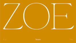 Element Type Foundry